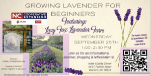 Cover photo for Growing Lavender for Beginners